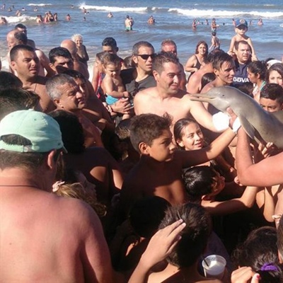 Tourists Kill Baby Dolphin To Take Selfies With