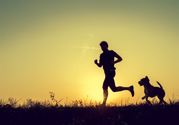 Marathon Runner’s Appeal To Adopt Chinese Stray Dog