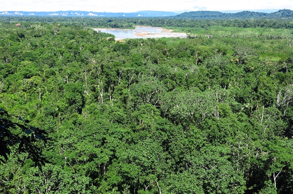 What are Amazonian National Parks for? Plants and Inhabitants or Industry and Oil?