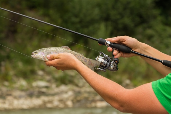 The Ill Effects of Catch and Release Fishing