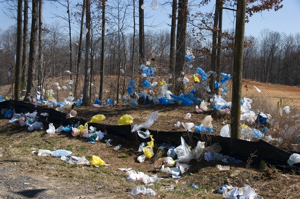 Is California Banning Plastic Bags?