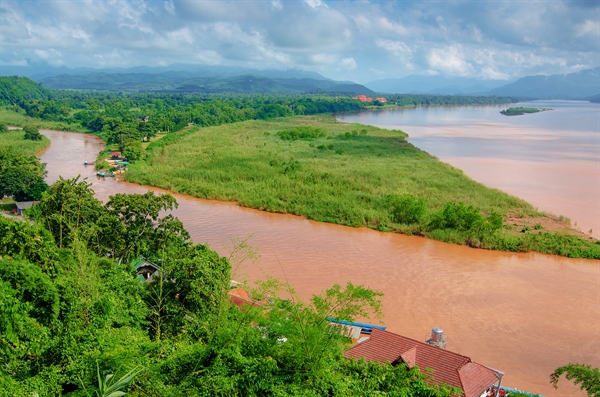 163 New Species Discovered In Mekong Region Of Southeast Asia