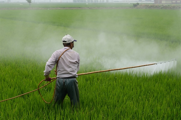 EPA Sued by Environmental Organizations for Lack of Pesticide Exposure Protection