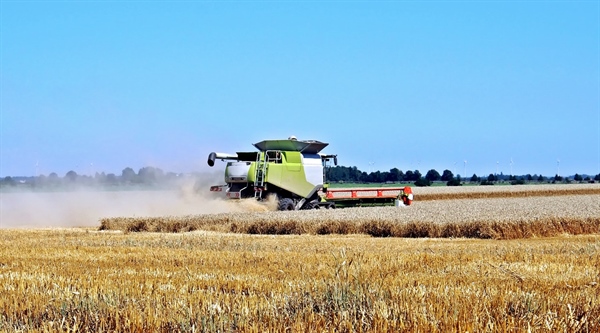 Industrial Farming Responsible for Upcoming Mass Extinction