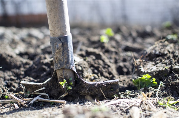 The Role of the Earth’s Soil in Global Warming