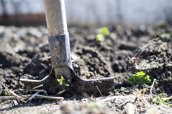 The Role of the Earth’s Soil in Global Warming