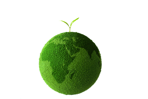 Creating a Green Nursery