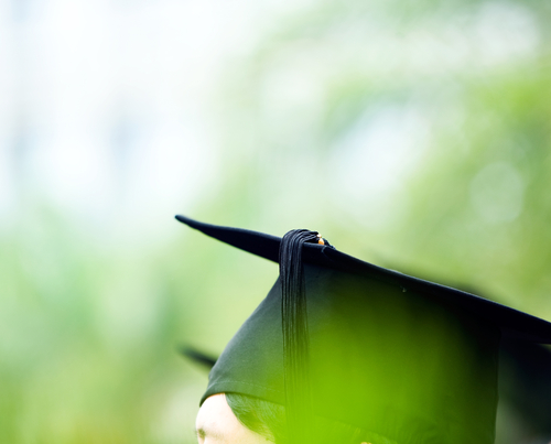 Four Ways to Incorporate Green Living in HomeSchool Programs