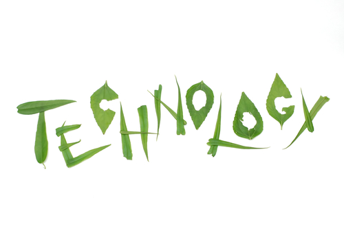 Characteristics of Cob Homes – Concepts of a Cob Home – GoGreen.org