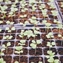 Is Urban Farming The Answer to Food Security?