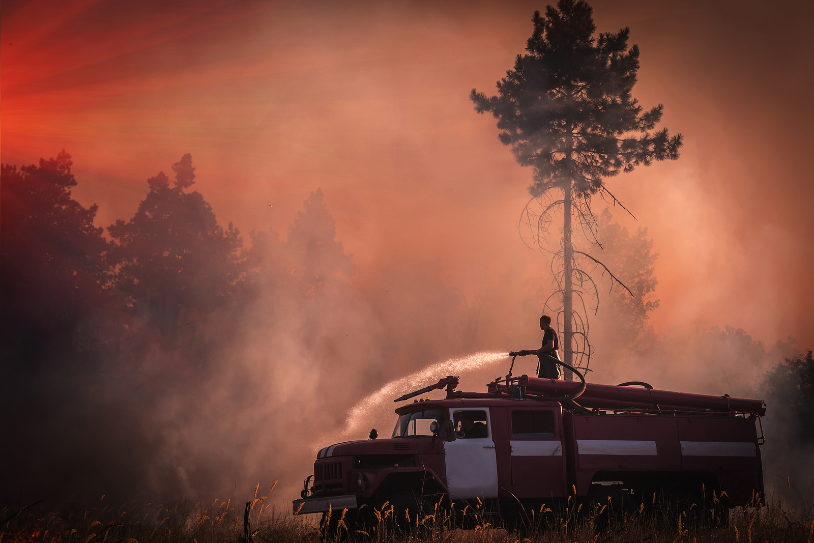 Most Expensive Wildfire In US History Is Burning Now In Big Sur, California